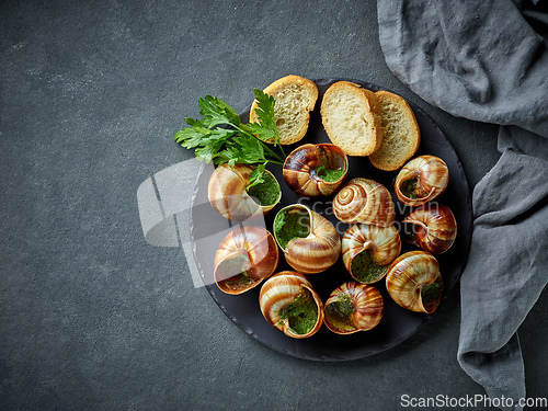 Image of plate of baked escargot snails filled with parsley and garlic bu