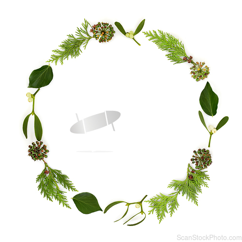 Image of Traditional Winter Christmas Flora Wreath