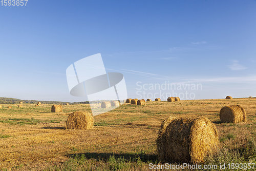 Image of a stack of straw