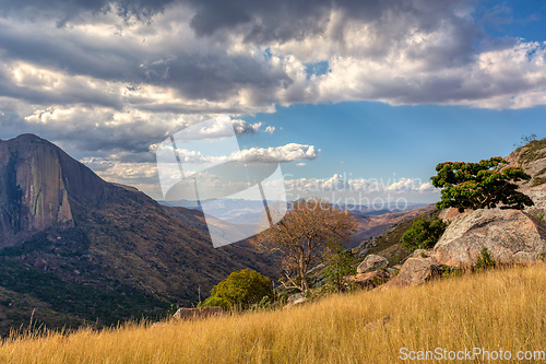 Image of Andringitra national park,mountain landscape, Madagascar wilderness landscape