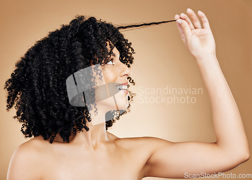 Image of Hair, woman with curls and beauty, salon treatment for shine, cosmetic care and smile on studio background. Wellness, haircare and model with strong texture and curly hairstyle, volume and afro
