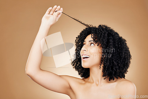 Image of Hair, curls and growth with woman and beauty, shine and salon treatment with natural cosmetics on brown background. Wellness, haircare and texture with happy model, studio with curly afro hairstyle
