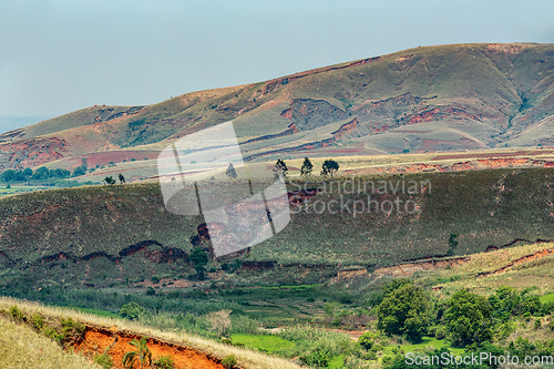 Image of Devastated central Madagascar landscape - Mandoto, Vakinankaratra Madagascar