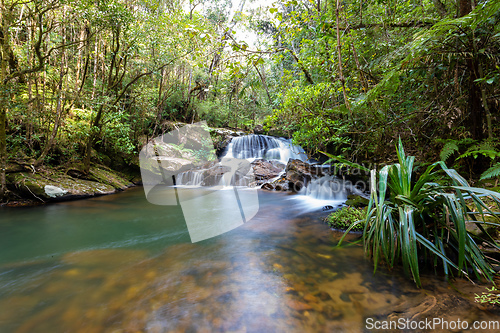 Image of Rain forest waterfall, Madagascar wilderness landscape