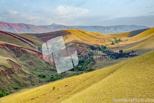 Image of Devastated central Madagascar landscape - Mandoto, Vakinankaratra Madagascar