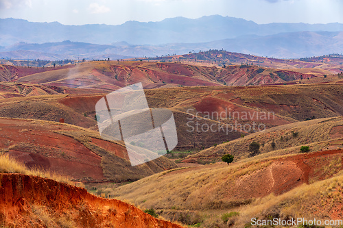 Image of Devastated central Madagascar landscape - Mandoto, Vakinankaratra Madagascar