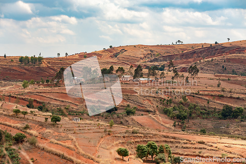 Image of Devastated central Madagascar landscape - Mandoto, Vakinankaratra Madagascar