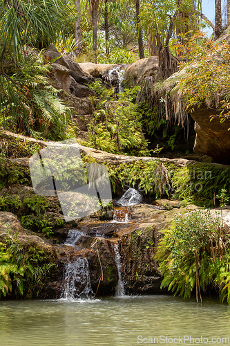 Image of Rain forest waterfall, Madagascar wilderness landscape