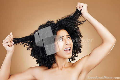 Image of Afro woman, studio face and hair problem, anxiety or frustrated with grooming mistake, beauty salon treatment or breakage. Hairstyle disaster, bad frizz and model girl stress on brown background