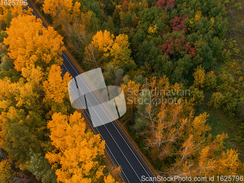 Image of Aerial view of road in beautiful autumn Altai forest