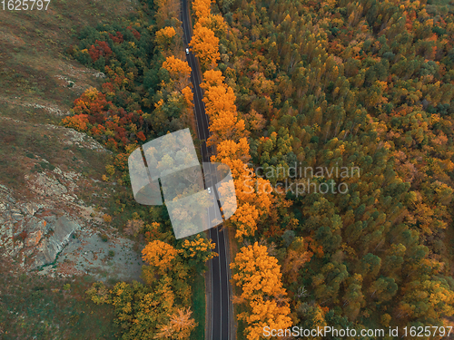 Image of Aerial view of road in beautiful autumn Altai forest