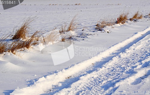 Image of snow field