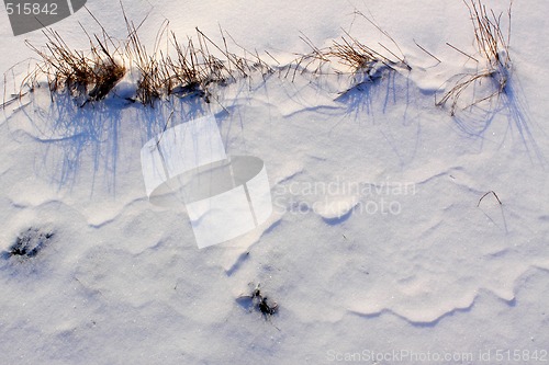 Image of snow field