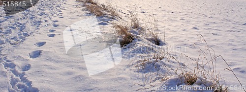 Image of snow field