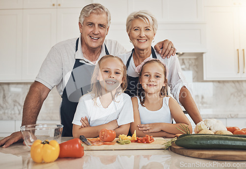 Image of Portrait, family and kids cooking with grandparents in a kitchen with love, care and support at home. Food, face and children learning nutrition, health and preparing meal with happy senior people