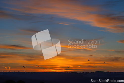 Image of Dawn Sky at Cuckmere With Gulls