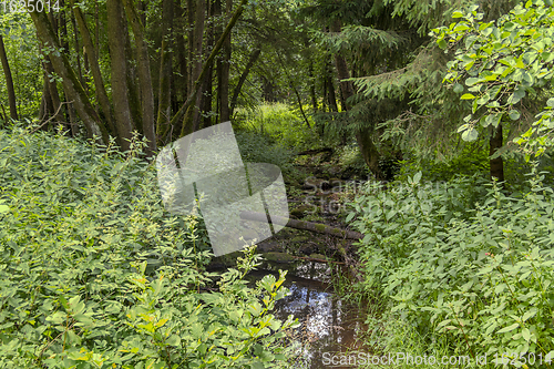 Image of nature reserve in the Bavarian Forest