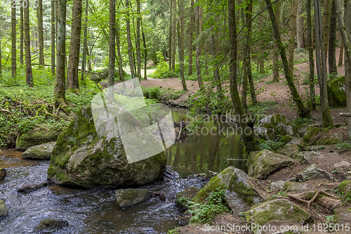 Image of nature reserve in the Bavarian Forest