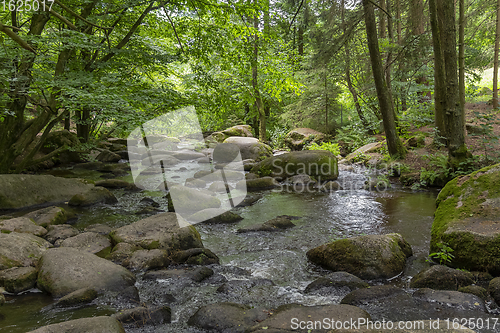 Image of nature reserve in the Bavarian Forest