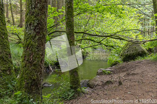 Image of nature reserve in the Bavarian Forest