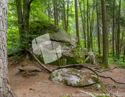 Image of nature reserve in the Bavarian Forest