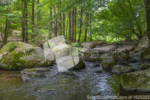 Image of nature reserve in the Bavarian Forest