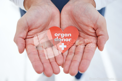Image of Doctor, hands and transplant for organ donor, support and good deed for healthcare, medical service and work. Nurse, hospital and charity for help, heart and sign for medicare, compassion or donation