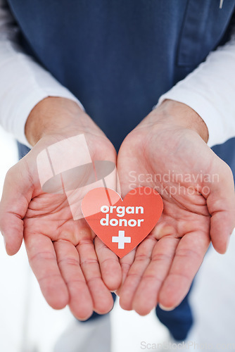 Image of Nurse, hands and heart for organ donor, transplant and good deed for healthcare, medical service and work. Doctor, hospital and charity for help, support and sign for medicare, compassion and donatio
