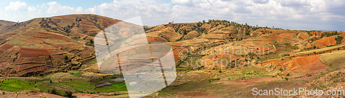 Image of Devastated central Madagascar landscape - Betafo, Vakinankaratra Madagascar