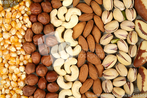 Image of Nuts