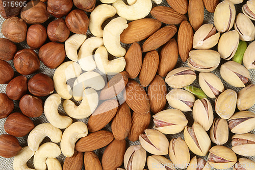 Image of Nut texture