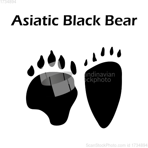 Image of Asiatic Black Bear Footprint