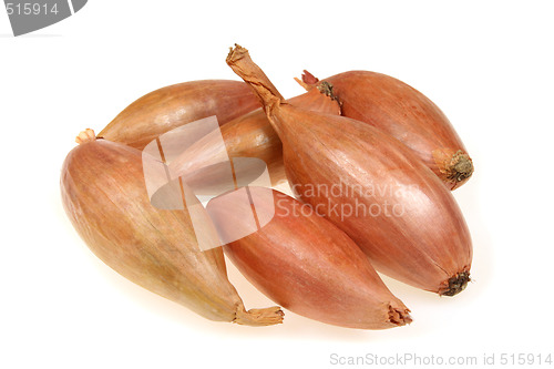 Image of Shallot vegetables