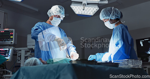 Image of Doctor, patient and surgery in hospital, nurses and operation ,medical, diagnosis and treatment. Healthcare, sick and scissors for help, surgeon and specialist on bed, working, and operating body