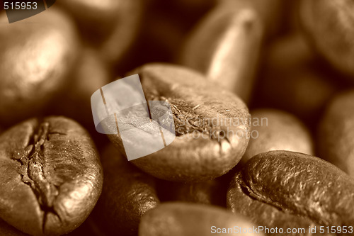 Image of Fragrant fried coffee beans 