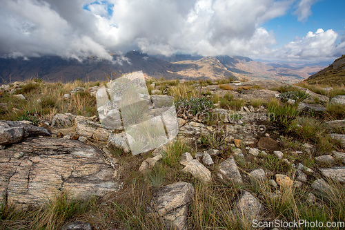 Image of Andringitra national park,mountain landscape, Madagascar wilderness landscape