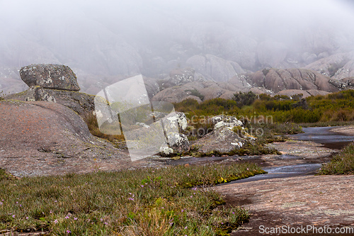 Image of Andringitra national park,mountain landscape, Madagascar wilderness landscape