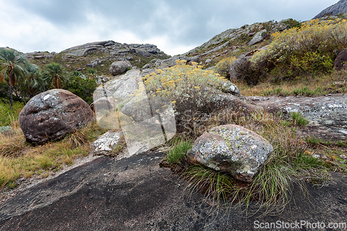 Image of Andringitra national park,mountain landscape, Madagascar wilderness landscape