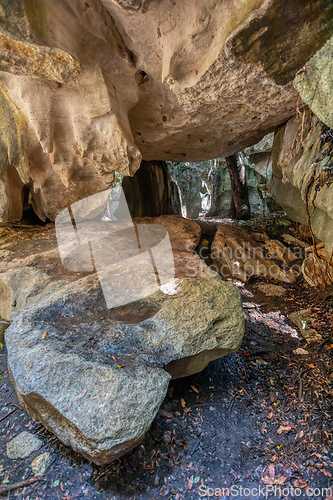 Image of Petit Tsingy de Bemaraha, Madagascar wilderness landscape