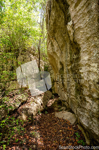 Image of Petit Tsingy de Bemaraha, Madagascar wilderness landscape