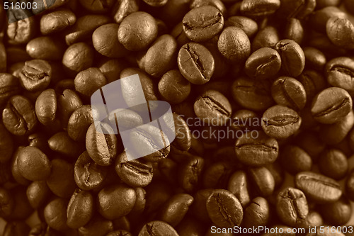 Image of Fragrant fried coffee beans 