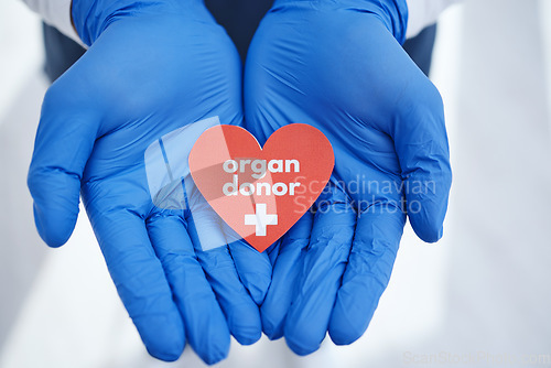 Image of Hands, heart and doctor with organ donation, help and medical transplant in hospital zoom. Healthcare, charity and palm of surgeon with sign for cardiovascular, surgery or donor, support or hope