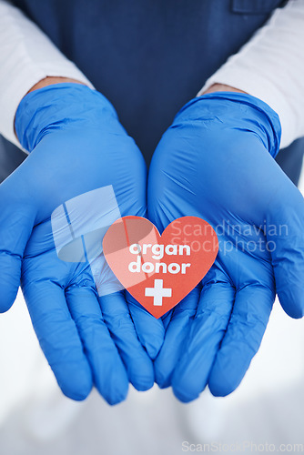 Image of Heart, hands and doctor with organ donation, help and medical transplant in hospital zoom. Healthcare, charity and palm of surgeon with sign for cardiovascular, surgery or donor, support or hope