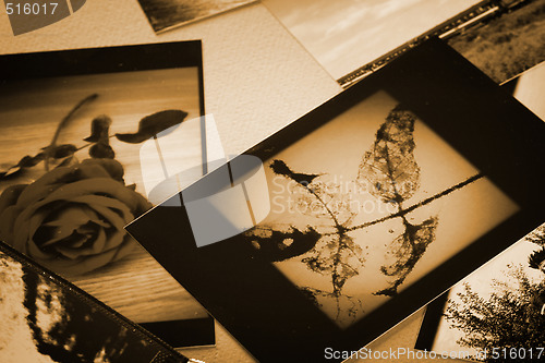 Image of Photo Album