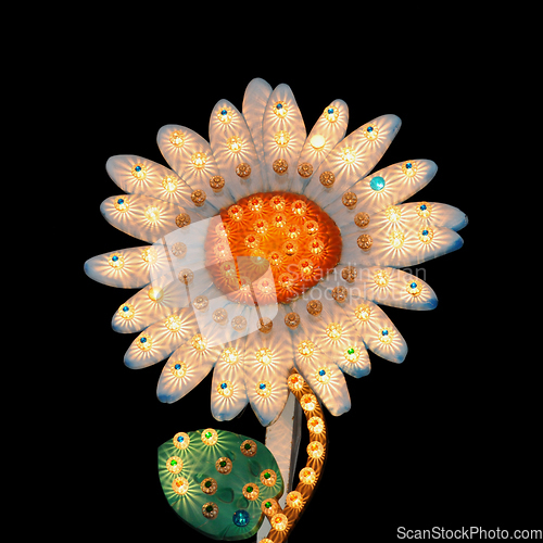 Image of daisy flower flashing lights