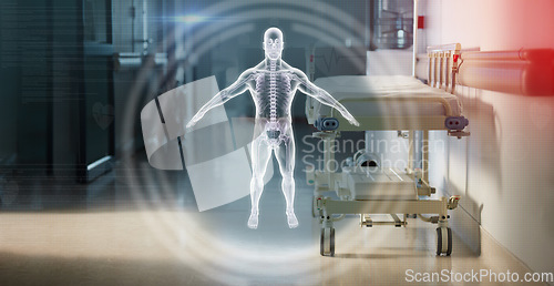 Image of Hologram, anatomy and a bed in the corridor of a hospital after work, ready for an emergency or accident. Healthcare, medical and overlay with a gurney in the empty hallway of a health clinic