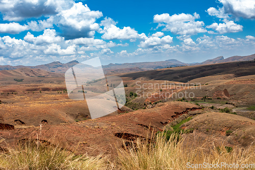 Image of Devastated central Madagascar landscape - Mandoto, Vakinankaratra Madagascar