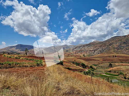 Image of Devastated central Madagascar landscape - Mandoto, Vakinankaratra Madagascar