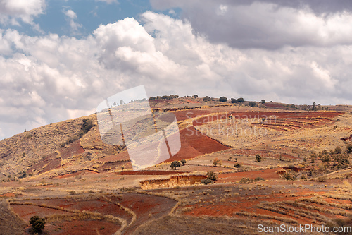 Image of Devastated central Madagascar landscape - Mandoto, Vakinankaratra Madagascar