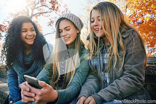 Image of Phone, meme or girl friends in park with smile together for holiday vacation outdoors on social media. Friendship, gossip or happy gen z people in nature talking, speaking or laughing at a funny joke